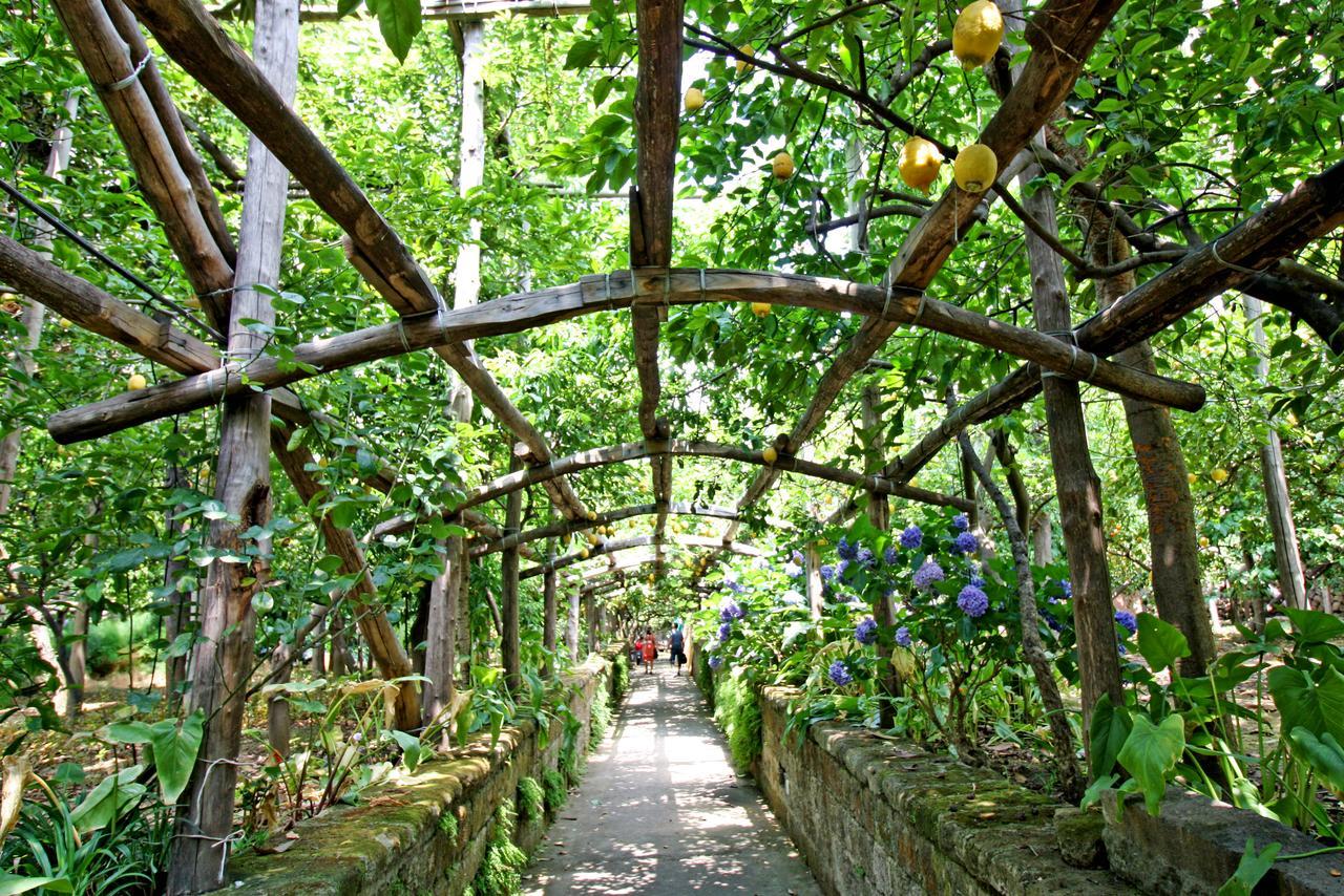 I Giardini Di Cataldo Sorrento Villa Eksteriør bilde